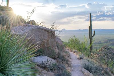 Desert View of the Los Vientos Community